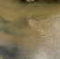 Во Владимире обнаружен незаконный сброс грязной воды в реку Рпень - Комсомольская правда