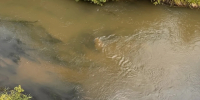 Во Владимире обнаружен незаконный сброс грязной воды в реку Рпень - Комсомольская правда