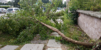 В Брянске ликвидируют последствия сильного ветра - Vbryanske.Com