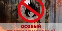 В Ивановской области введён особый противопожарный режим. - Пестяковский район
