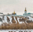 фото: ДИП - АПИ