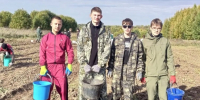 Урожай для школьных обедов - Газета Вохомская правда