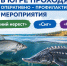 В Югре проходят оперативно – профилактические мероприятия  «Осенний нерест», «Сиг», «Осетр» - Администрация Октябрьского района