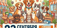 «От корма до миски — каждая мелочь важна»: в Козельске организован пункт сбора помощи животным - Газета Козельск