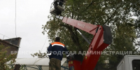 Непогода ударила по Брянску: повалены деревья, оборваны провода - Газета Брянские новости