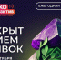 Прием заявок на премию «Экопозитив-2026» открыт: вологжане могут заявить свои экопроекты - Правительство Вологодской области