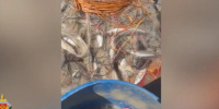 Волгоградская правда - Газета Волгоградская правда
