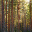Картинка - Regions.Ru