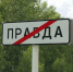 Новость о гуляющих по Заринску медведях оказалась фейком - Комсомольская Правда