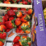 Мордовских ягод на прилавках станет больше почти на 50% - Pg13.Ru