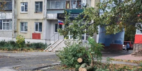 В Курске распилили упавшие деревья на улице Пионеров и двух проспектах - Городские Известия