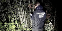 В Вологодской области следователи устанавливают обстоятельства гибели мужчины в результате нападения медведя - Следственный комитет