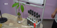 В Тульской области стало почти вдвое больше агроклассов - ТК Первый Тульский