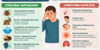 В городе Башкирии зарегистрирована вспышка туляремии - Сетевое издание Республика Башкортостан