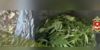 Нажмите для предварительного просмотра изображения - Сетевое издание Среда24