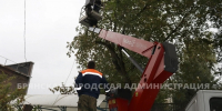 В Брянске упавшие деревья повредили пять автомобилей - Комсомольская Правда