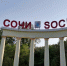 Спасение сочинских субтропиков от инвазивных вредителей стало темой для обсуждения в Минприроды России - Новая Газета Кубани