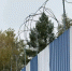 Красраб. Сибирский новостной портал - Газета Красноярский рабочий