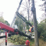 ветер (1) - OrelTimes.Ru