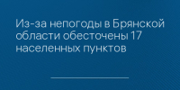 Из-за непогоды в Брянской области обесточены 17 населенных пунктов - Сетевое издание Новости Брянска