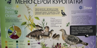 Обновление на Белозерской экотропе: новые знаки и уют для каждого гостя - Управление охотничьего хозяйства
