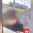 В Набережных Челнах школьники-зацеперы попали на видео: их родителей наказали - ТРК Татарстан-Новый век