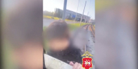 В Набережных Челнах школьники-зацеперы попали на видео: их родителей наказали - ТРК Татарстан-Новый век
