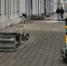 электросамокат - РИА Омск-информ