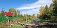Штормовой ветер в Московском регионе - Истра.РФ