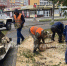 Из-за ветра в Брянске перегородило дорогу и повредило крышу дома - БрянскToday.Ru
