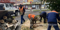 Из-за ветра в Брянске перегородило дорогу и повредило крышу дома - БрянскToday.Ru