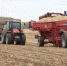 В Оренбургской области продолжается массовая уборка картофеля и овощей открытого грунта - Министерство сельского хозяйства