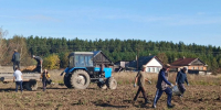 В Атратском доме-интернате прошла дружная уборка картофеля - Министерство труда и соцзащиты
