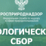 О расширенной ответственности производителей (РОП) - Минприроды Владимирской области