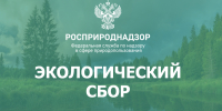 О расширенной ответственности производителей (РОП) - Минприроды Владимирской области