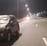 В Кемеровском округе лось погиб под колесами автомобиля - Газета Комсомольская правда