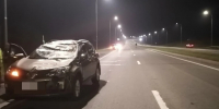 В Кемеровском округе лось погиб под колесами автомобиля - Газета Комсомольская правда