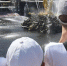 Фото: - Вологда-поиск