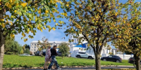 В Гидрометцентре рассказали, когда температурный фон в Татарстане начнет понижаться - ТРК Татарстан-Новый век
