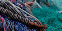 Браконьер из Волгоградской области выплатил 2 млн рублей за 600 выловленных рыб - Юг России