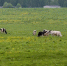 Картинка - Regions.Ru