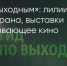 Поделитья во ВКонтакте - Братская Студия Телевидения