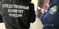 В Башкирии сиделка забила до смерти пожилую подопечную - Башинформ