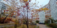Советы лучших многоквартирных домов определены в Нижнем Новгороде - Администрация г. Нижний Новгород