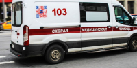 Житель Москвы скончался во время рыбалки в Тыве после нападения медведя - Вести Подмосковья