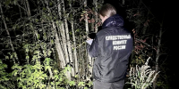 Фото: Следственный комитет - CherInfo.Ru