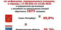 Сентябрь на исходе, а клещи в Петербурге и Ленобласти и не думают засыпать - 47 новостей
