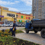 С клумб Ульяновска массово пропадают цветы - Ulyanovsk.Express