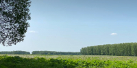 1.png - Славянское городское поселение