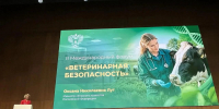 Руководитель департамента ветеринарии Краснодарского края Роман Кривонос принял участие в пленарном заседании II Международного форума «Ветеринарная безопасность» - Департамент ветеринарии